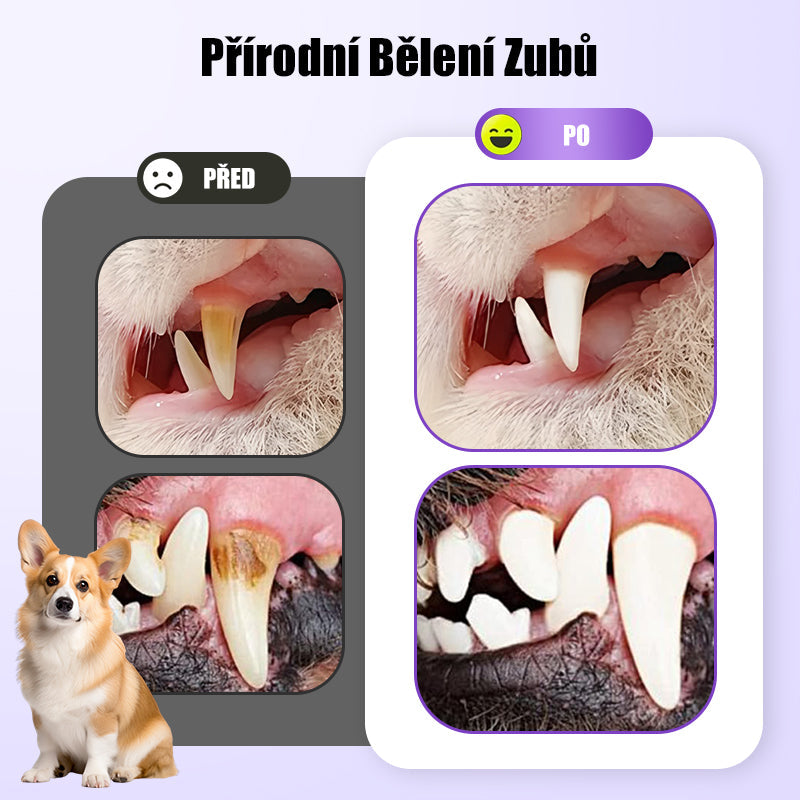 🐕Kupte 1, získejte 1 zdarma🐱 Gel pro ústní hygienu pro domácí mazlíčky🌈