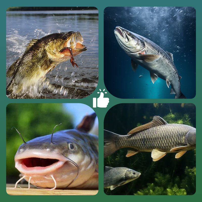 🎣 Nagy felhajtóerejű, úszó típusú horog – természetesen lebeg, pillanatok alatt kapás! 🐟💧 A csalit az optimális mélységben tartja – több kapás, kevesebb várakozás. 🔴⚡
